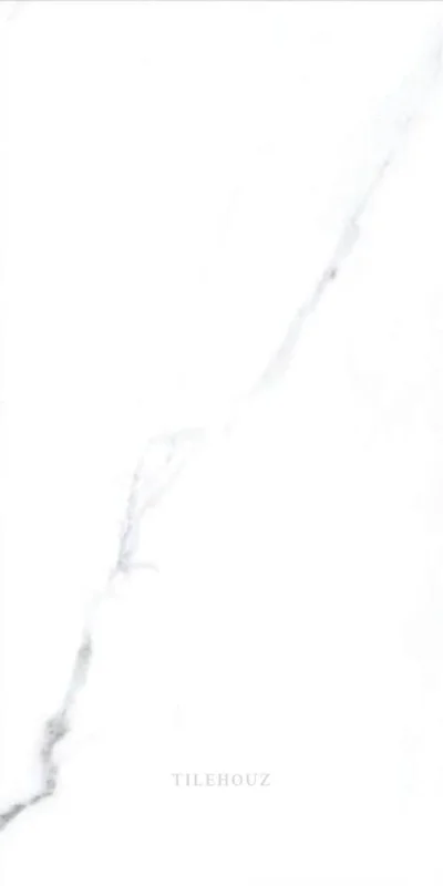 2026_06_12_416444