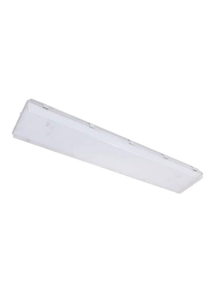 2026_06_15_718130